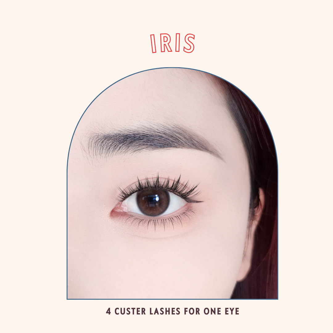 PRE-BONDED IRIS CLUSTER LASHES (SELF ADHESIVE)