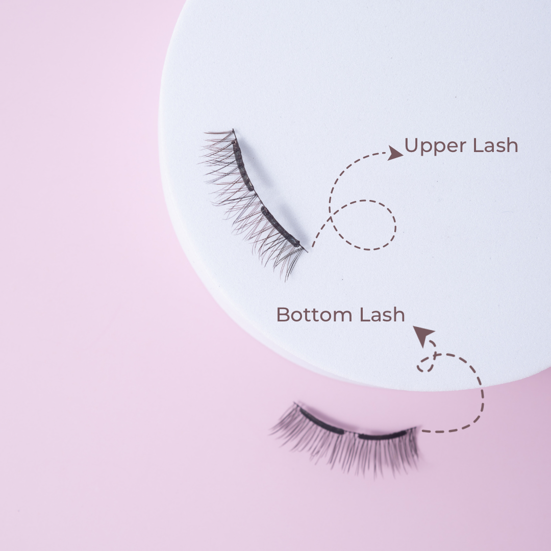 SG EXCLUSIVE PINK BOX MAGNETIC LASHES - NEW TAIWAN CAMELLIA