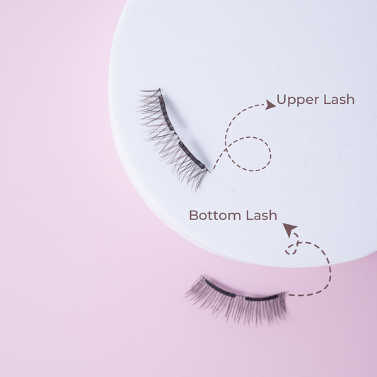 SG EXCLUSIVE PINK BOX MAGNETIC LASHES - NEW TAIWAN CAMELLIA