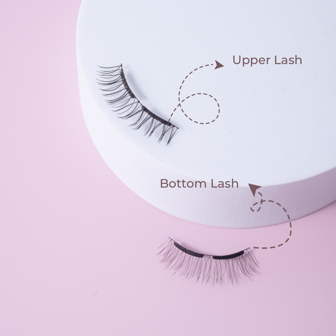 SG EXCLUSIVE PINK BOX MAGNETIC LASHES - DANDELION