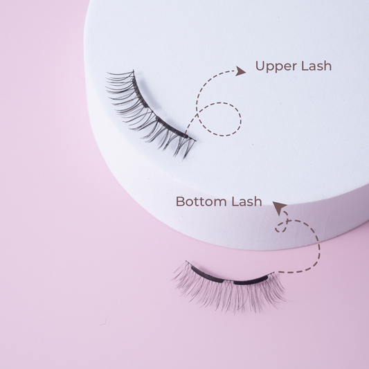 SG EXCLUSIVE PINK BOX MAGNETIC LASHES - DANDELION