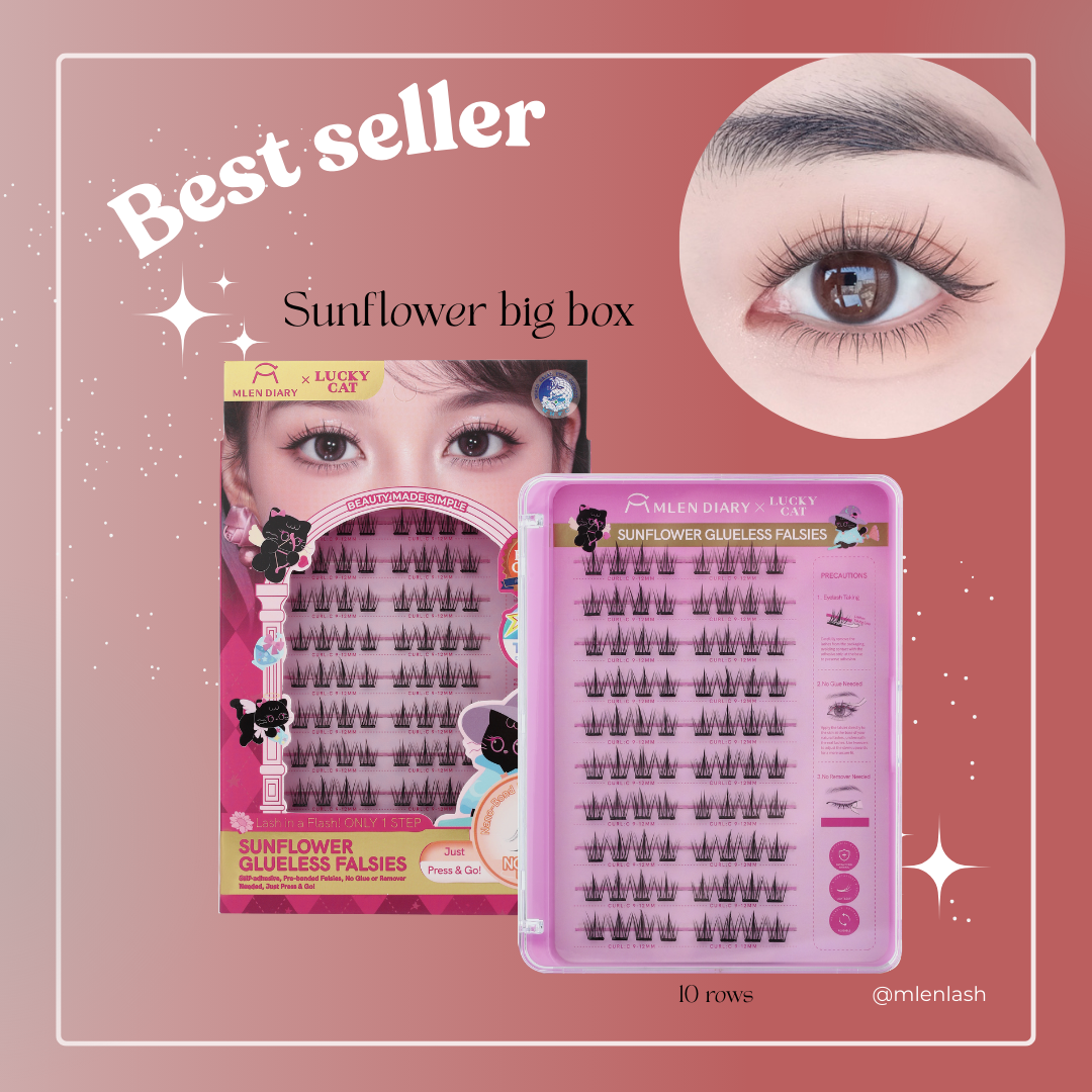 𝟏𝟏-𝐏𝐢𝐞𝐜𝐞 𝐁𝐞𝐚𝐮𝐭𝐲 𝐁𝐨𝐱 𝐒𝐞𝐭
