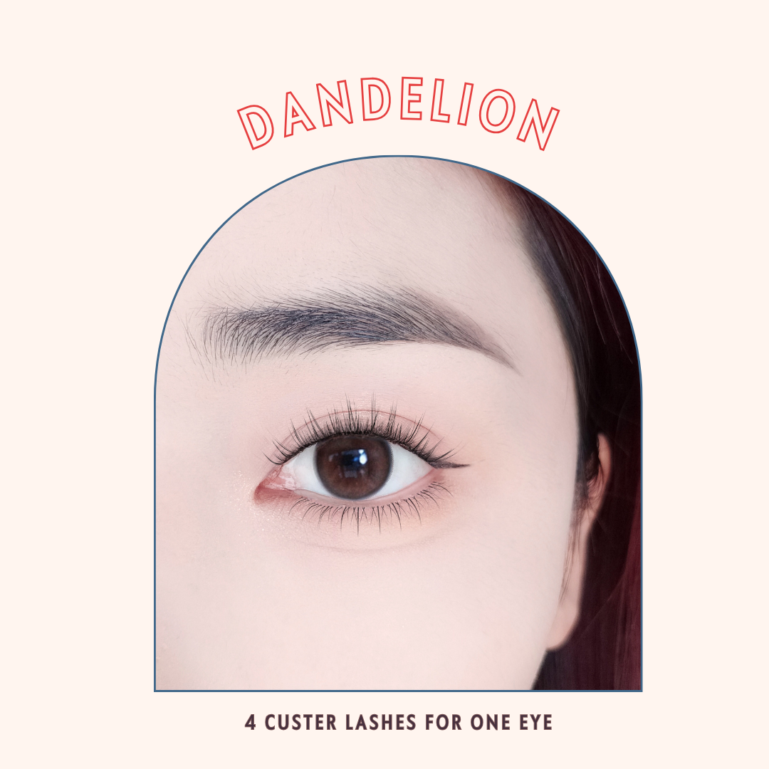 PRE-BONDED DANDELION CLUSTER LASHES (SELF ADHESIVE)